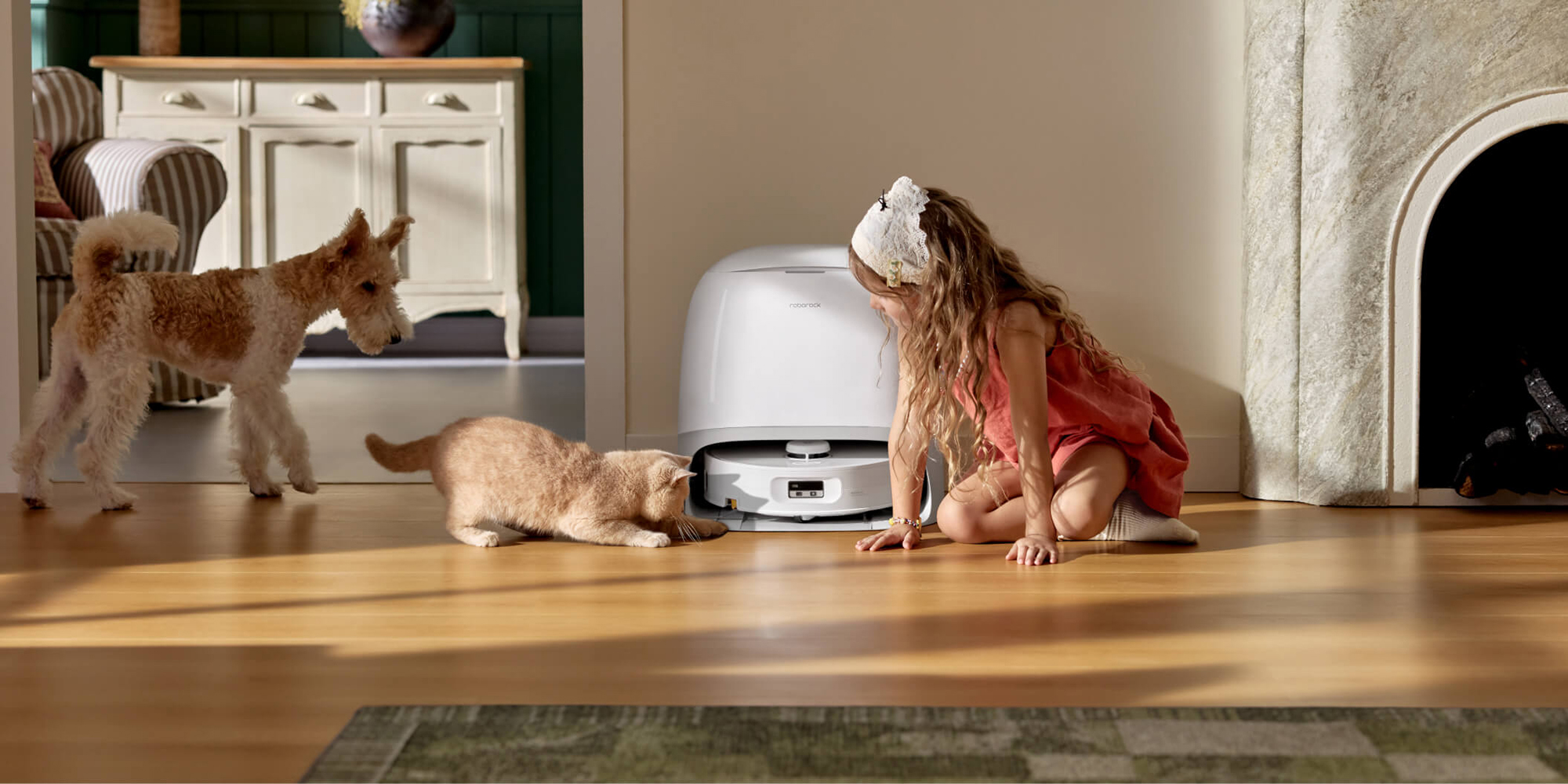 A girl and a cat looking at a cat