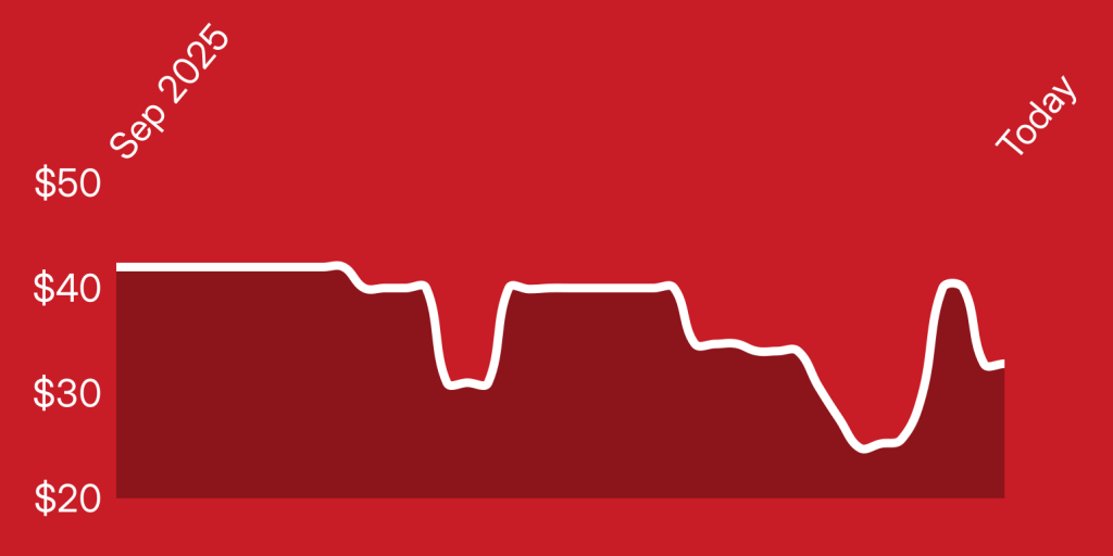 A line drawing of a mountain