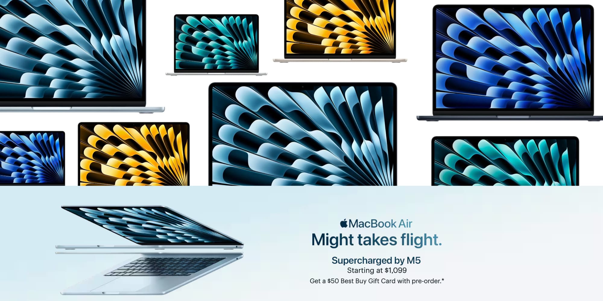 A group of laptops and tablets