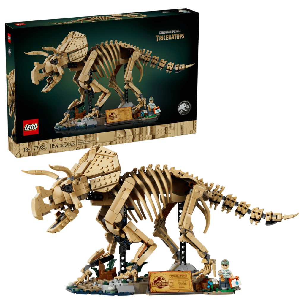 A toy dinosaur skeleton