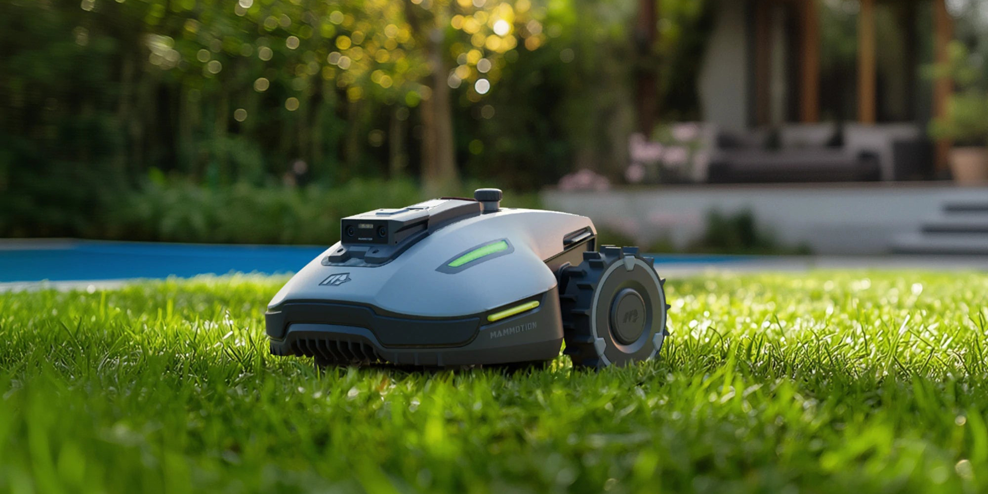 A robot on the grass