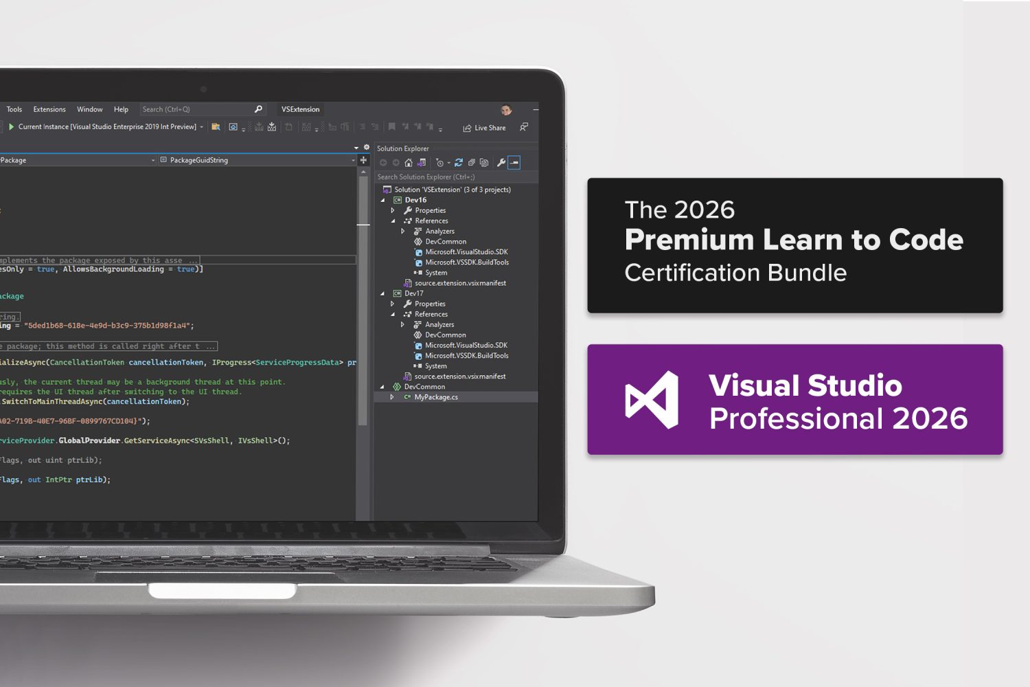 Microsoft Visual Studio Professional 2026