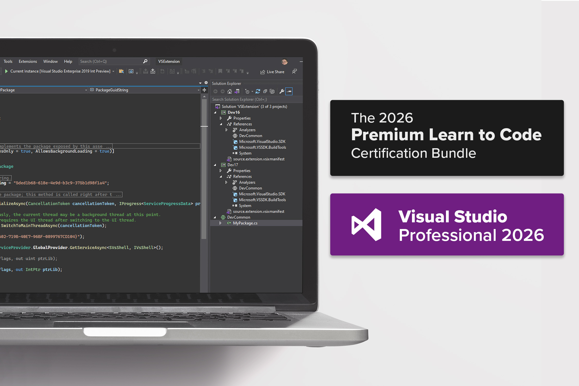 Microsoft Visual Studio Professional 2026