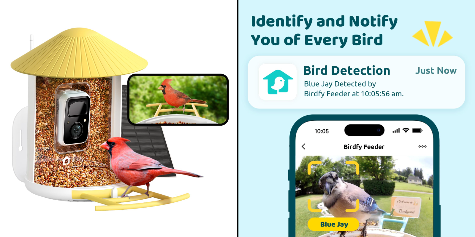 A screenshot of a bird on a bird feeder