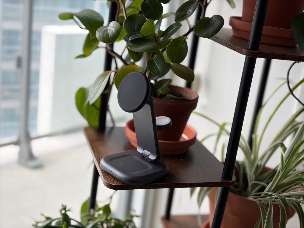 A black device on a shelf with potted plants