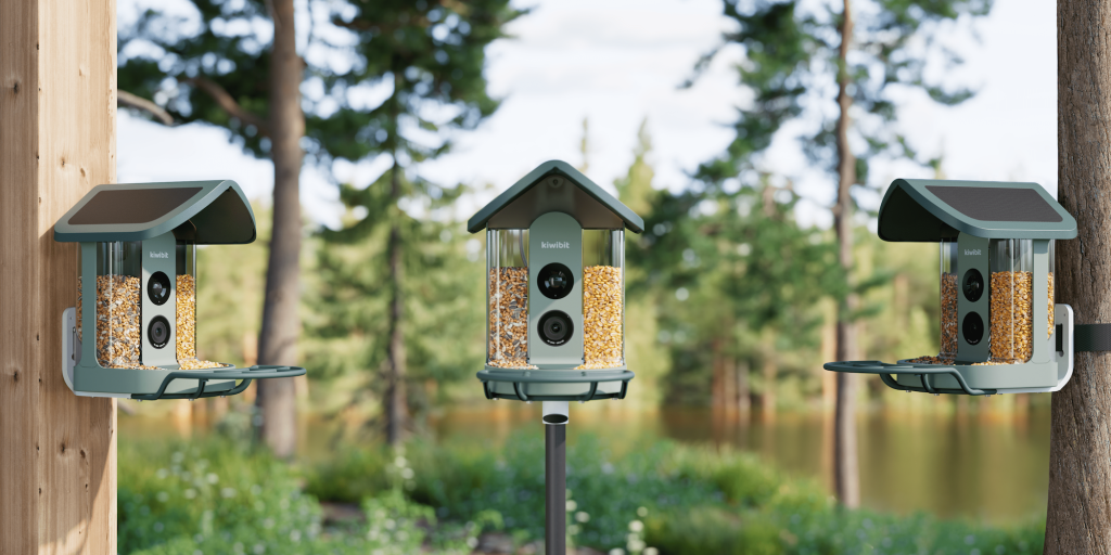 A bird feeder with seeds in it