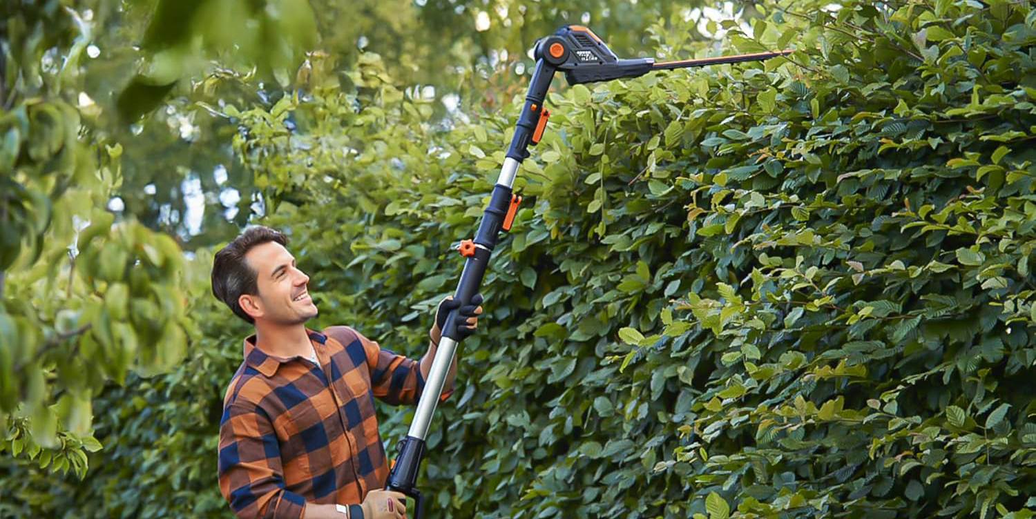 A man holding a hedge trimmer