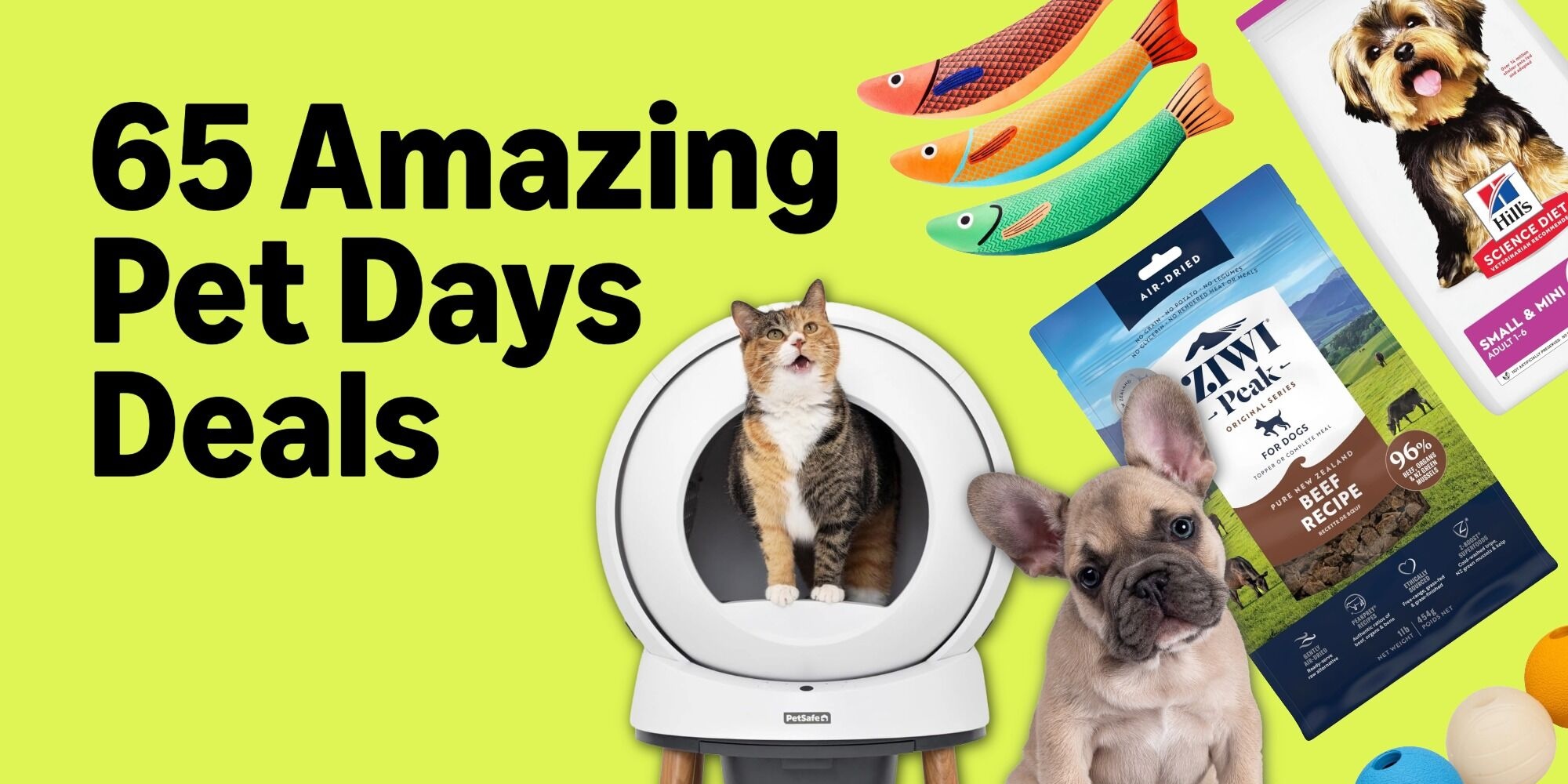 A cat in a washing machine