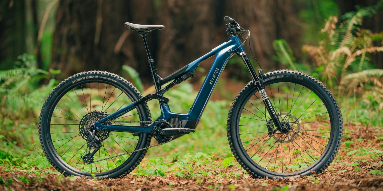 A blue mountain bike in the woods