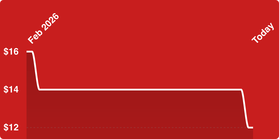 A red rectangular object with white lines