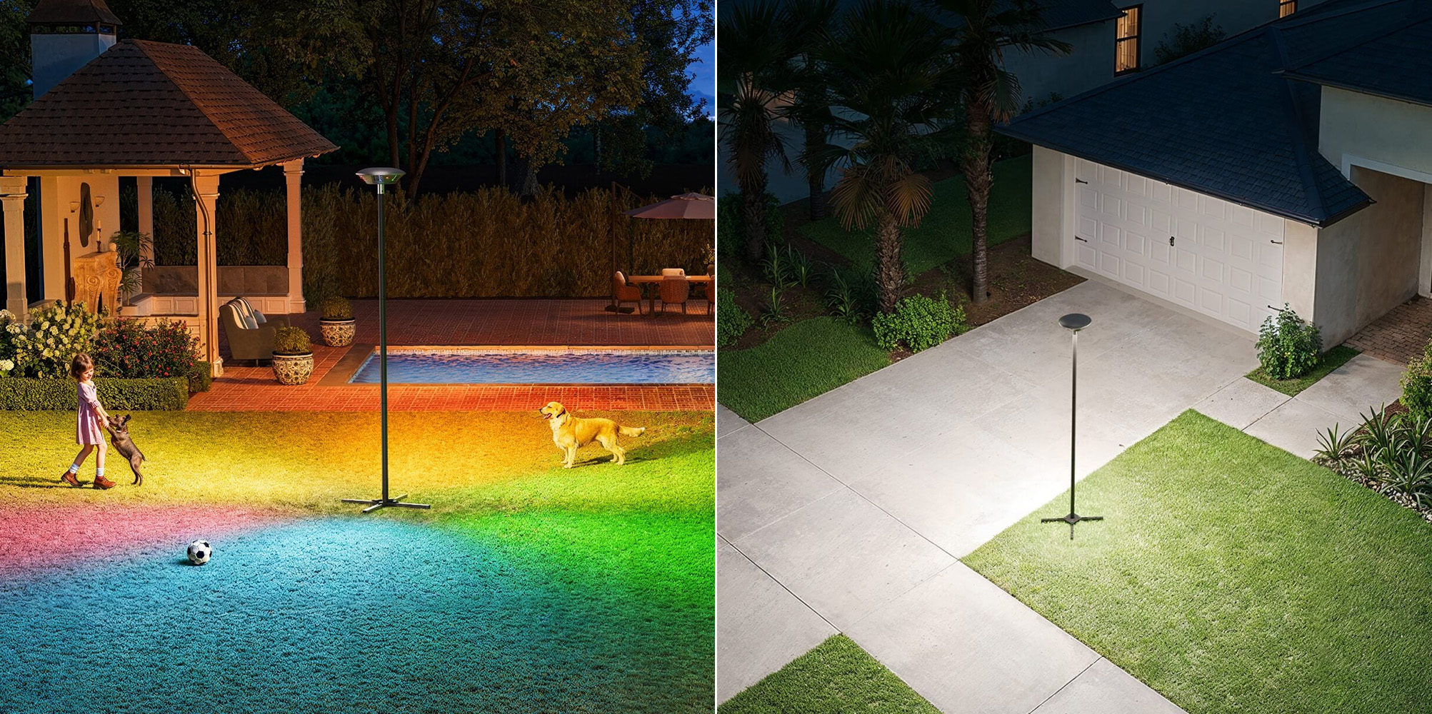 A dog standing on a sidewalk with a light on