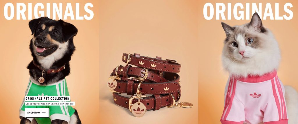 A brown leather belt with tags