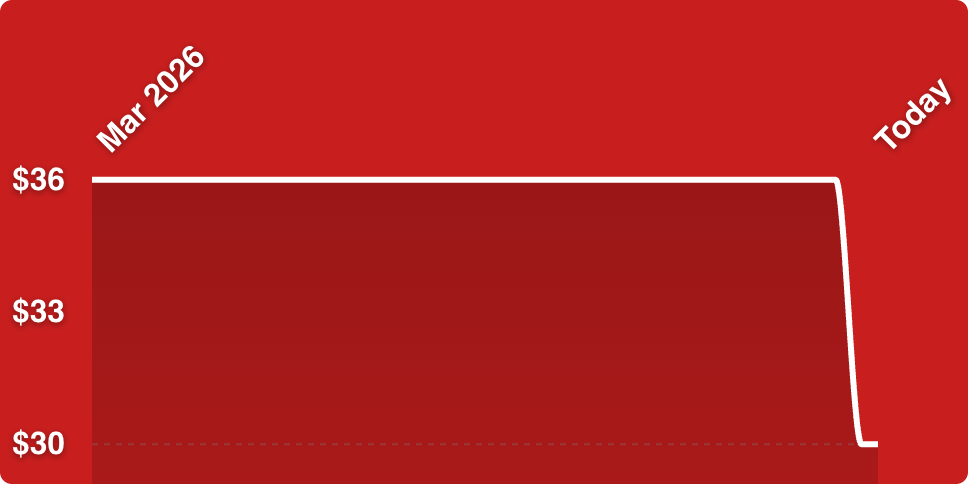 A red rectangular object with white lines