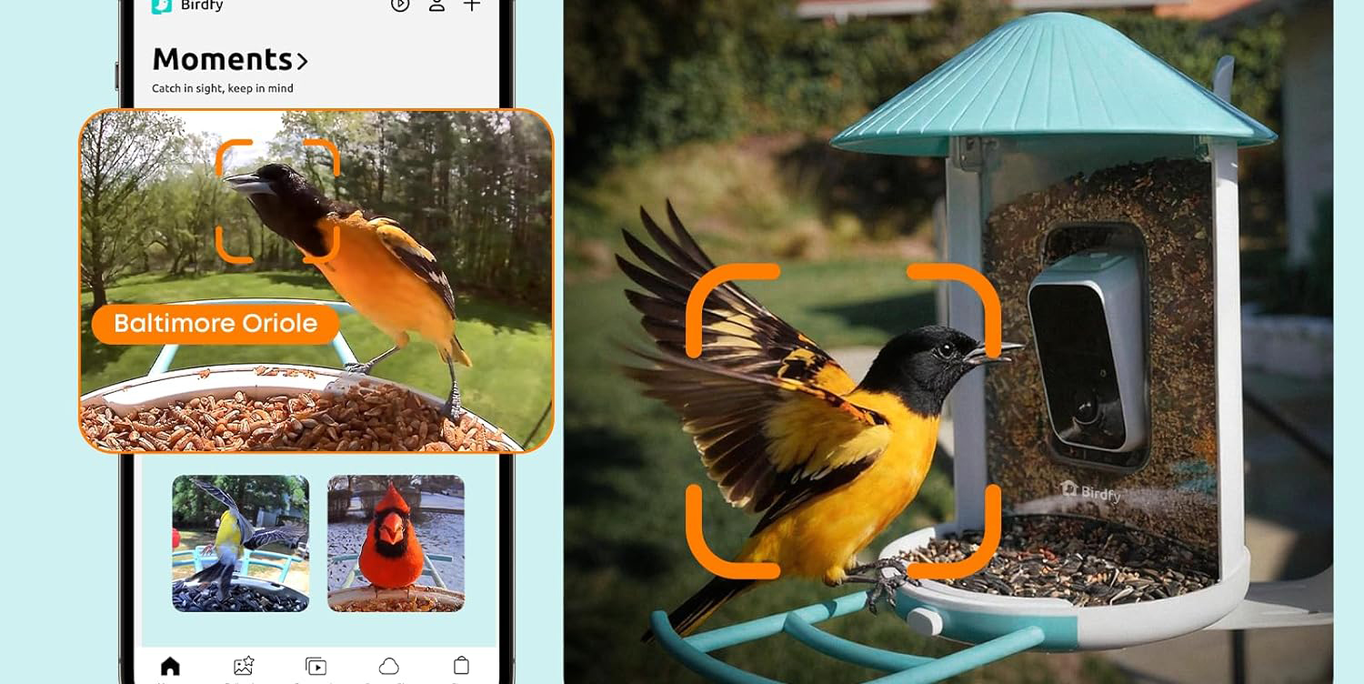 A screenshot of a phone