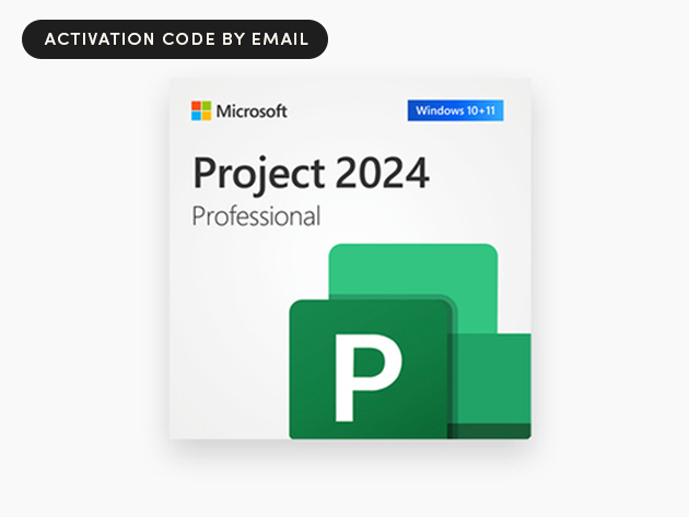 Microsoft Project Professional 2024