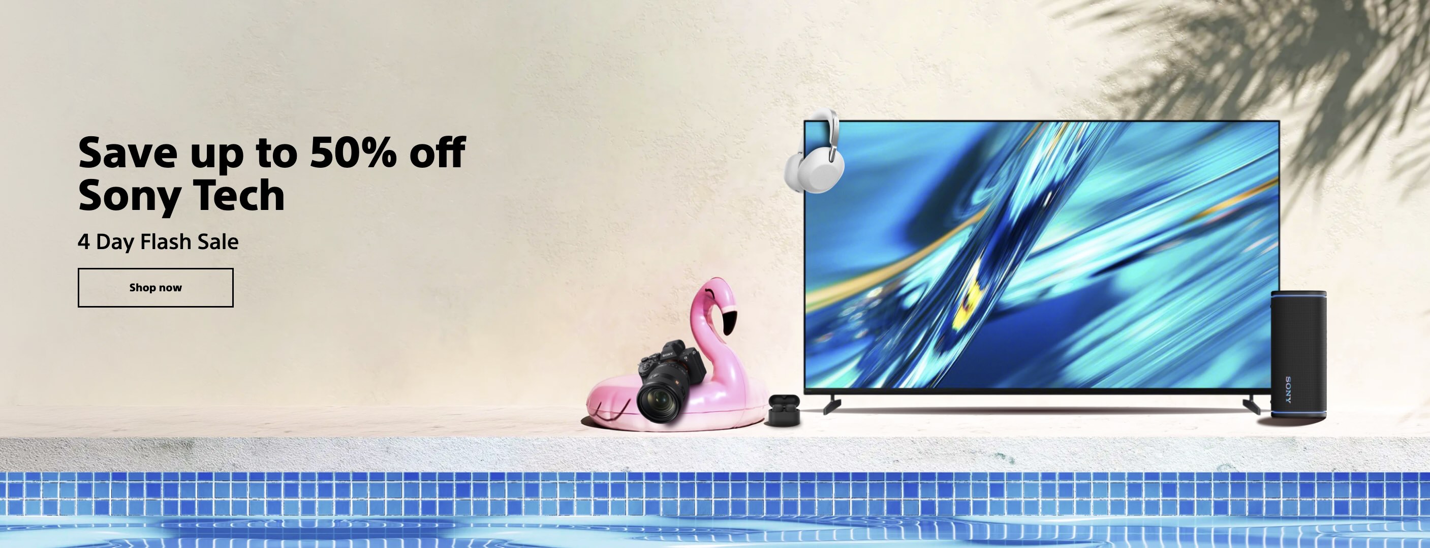 A television and a flamingo float