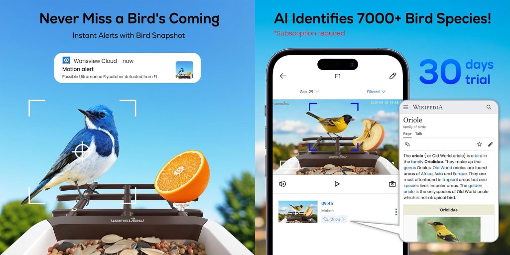 A screenshot of a phone