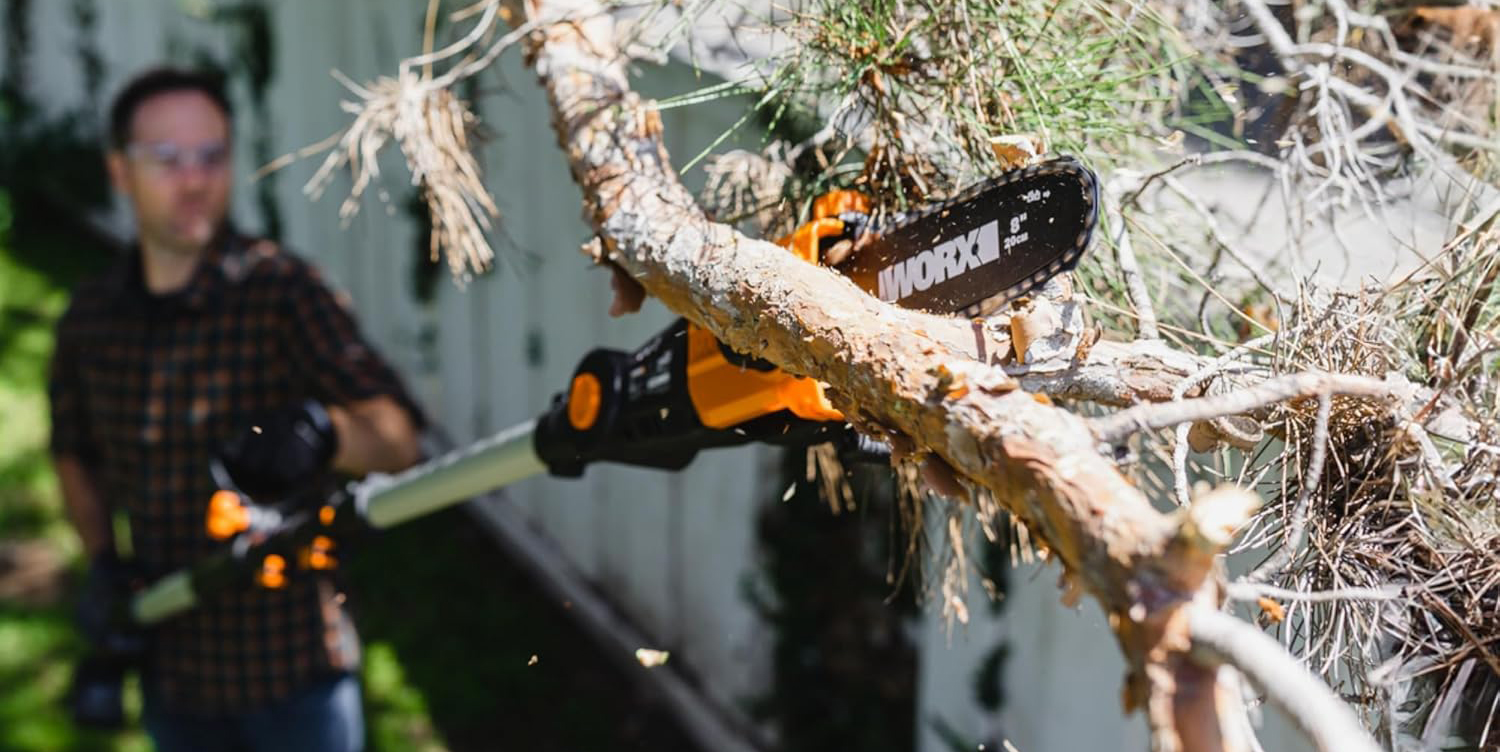 A chainsaw cutting a tree branch
