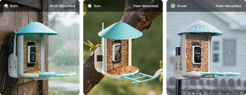 A bird feeder with a bird feeder and a blue roof