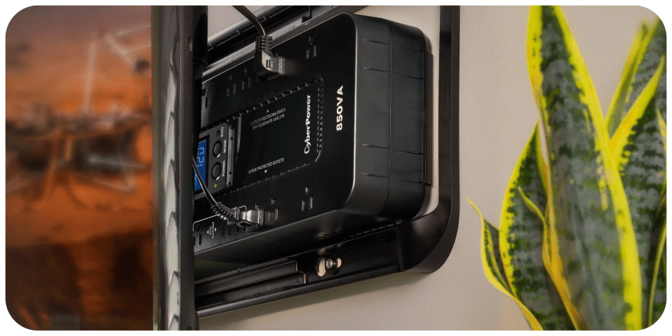 A black box with wires and a green plant