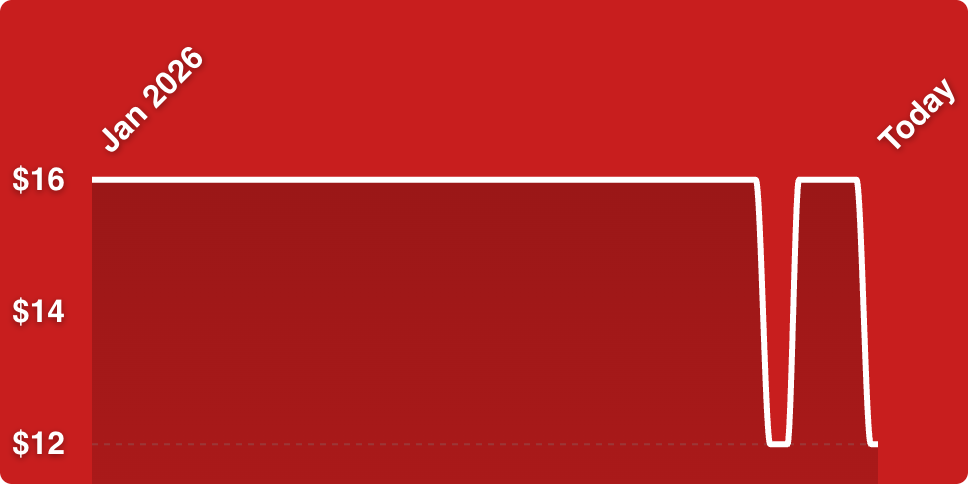 A red rectangular object with white lines