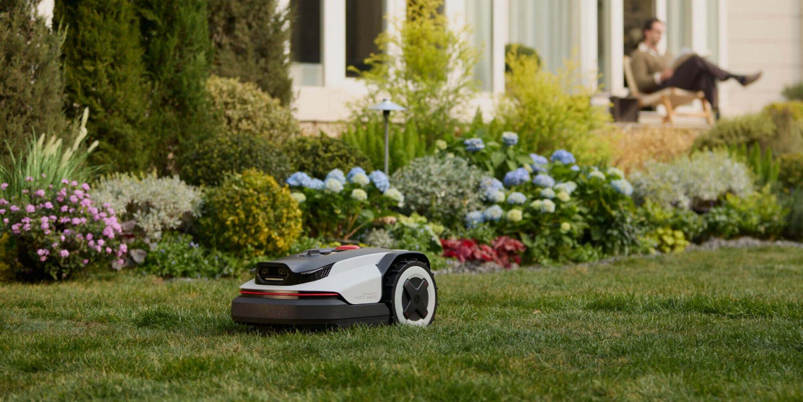 A robot on the grass