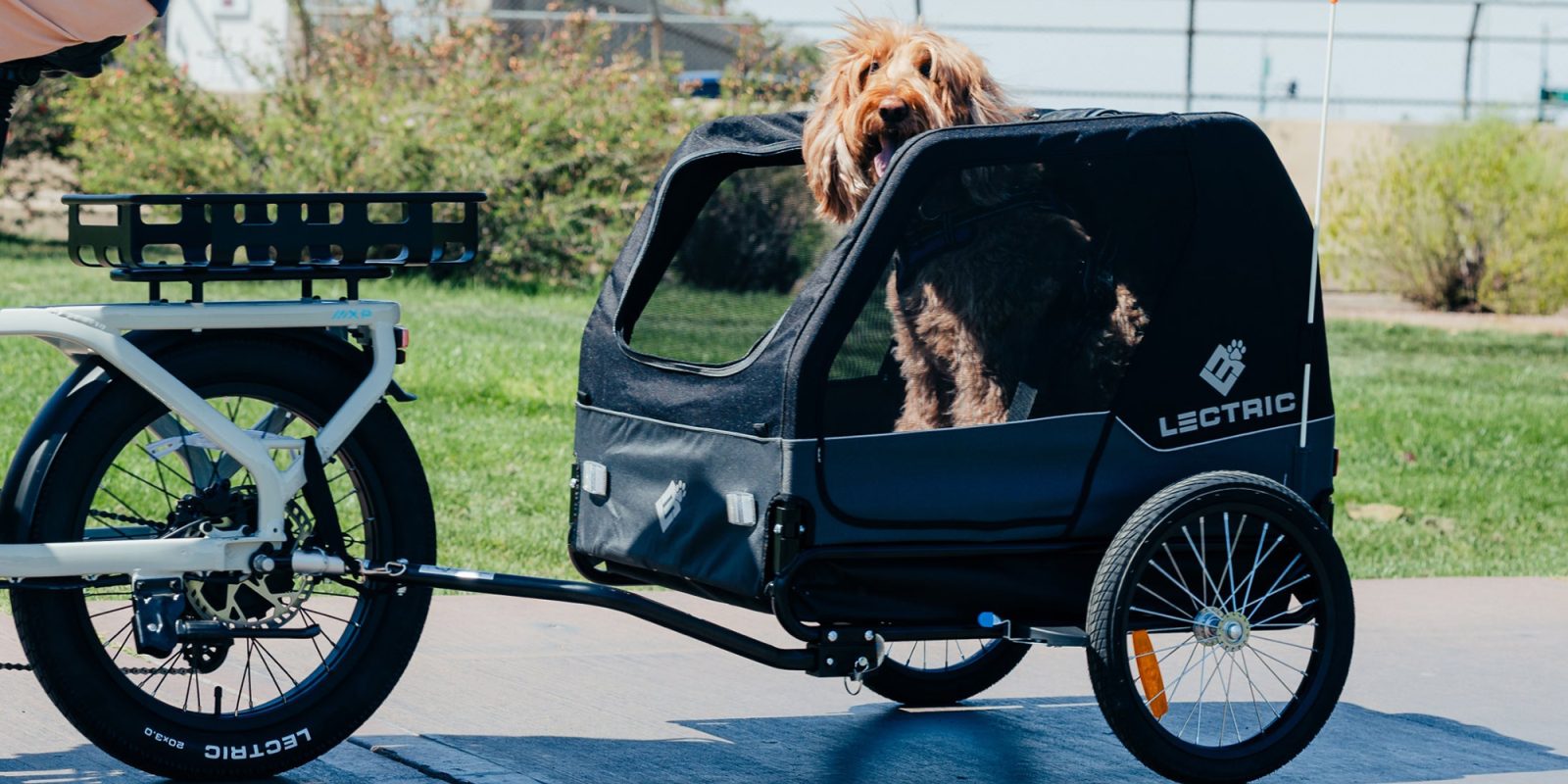 A dog in a cart