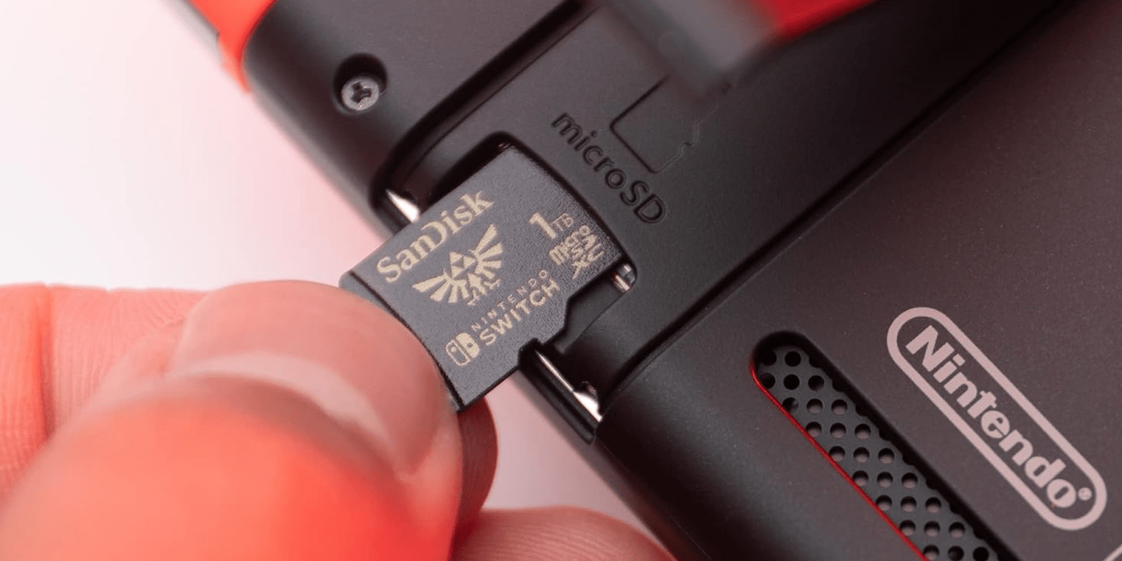 A person holding a memory card