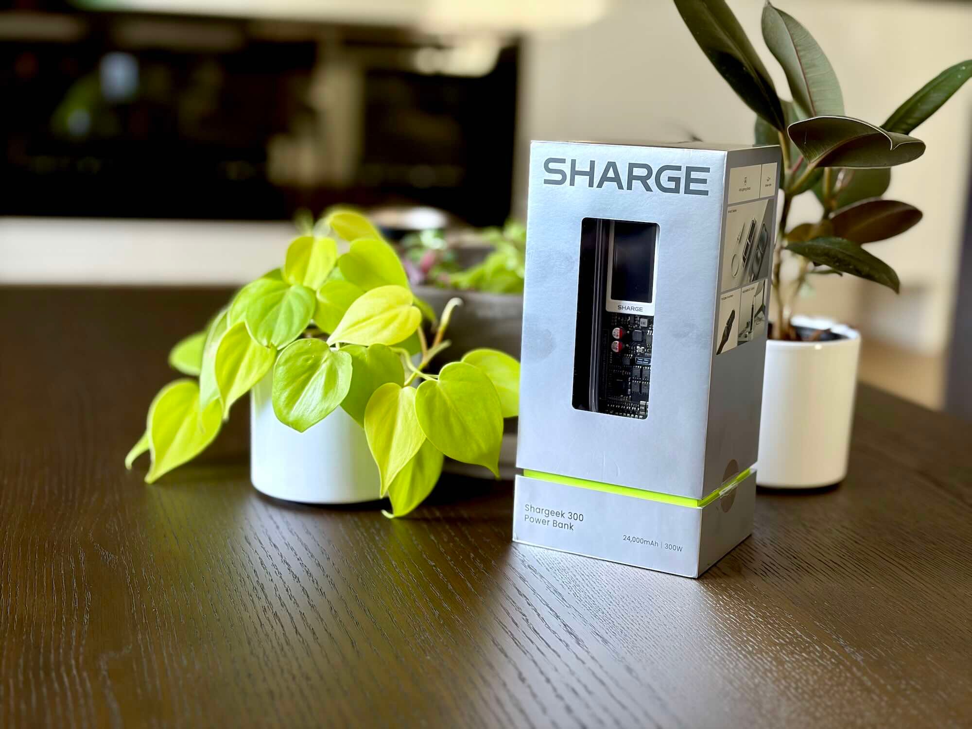 A small box with a screen on it next to a plant
