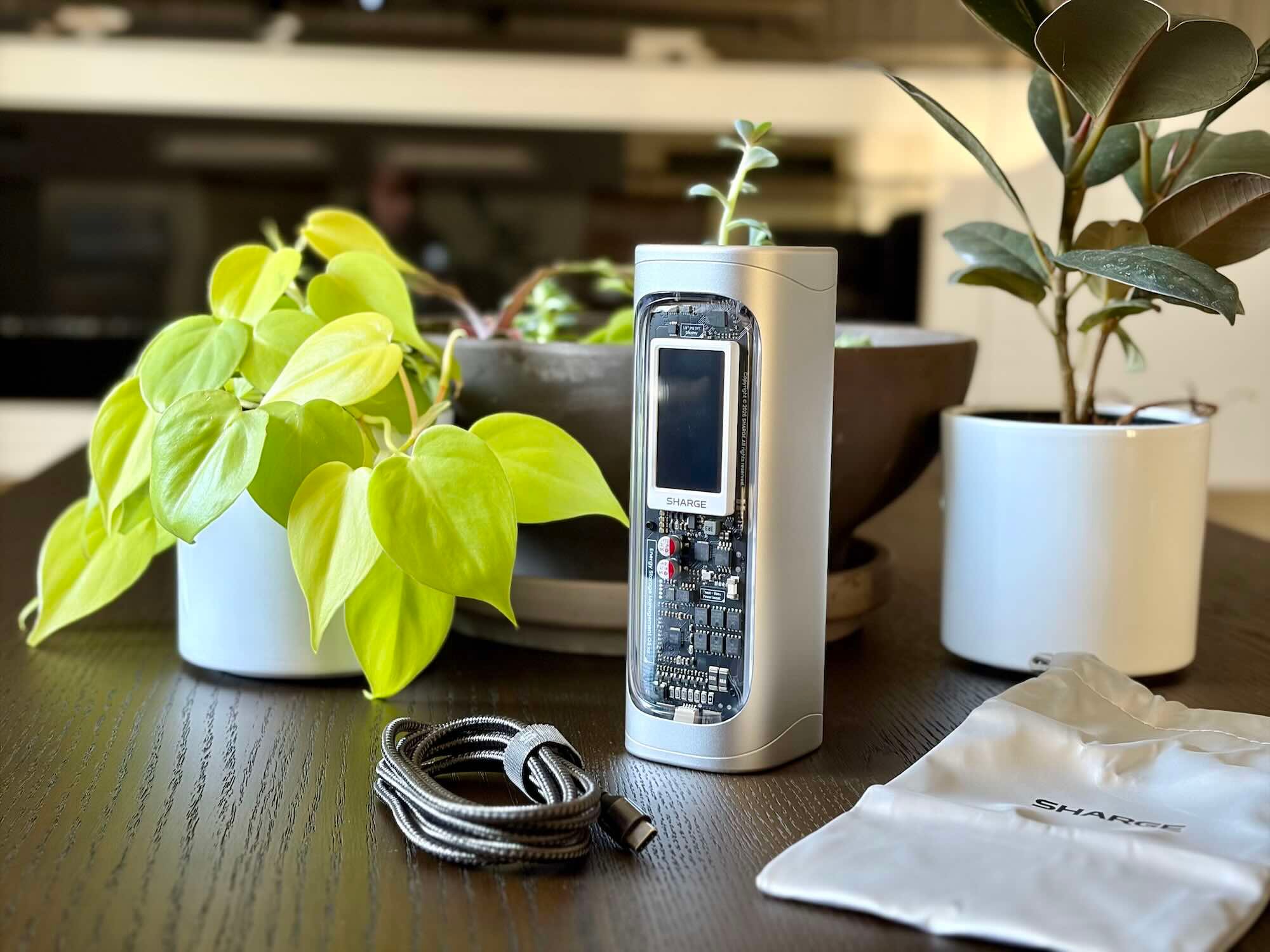 A device with a screen and a cord next to a plant