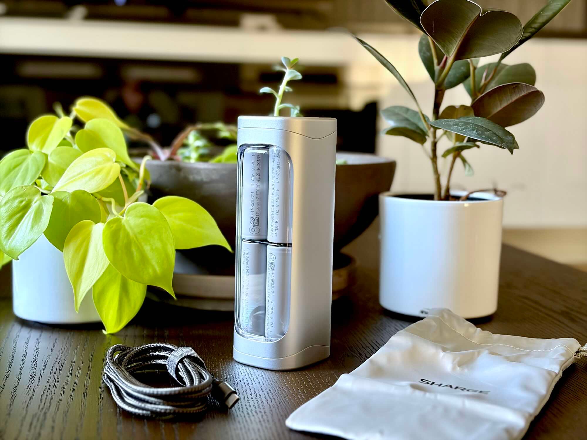 A plant in a pot next to a charger