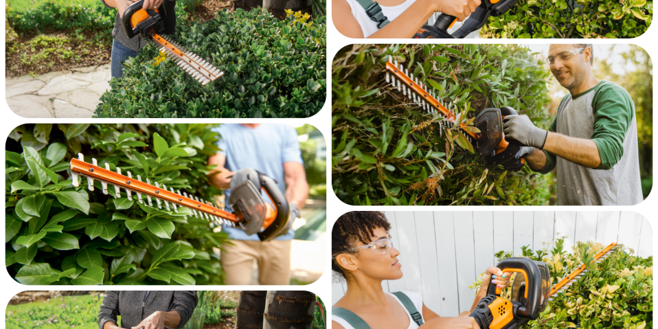 A collage of people using a hedge trimmer
