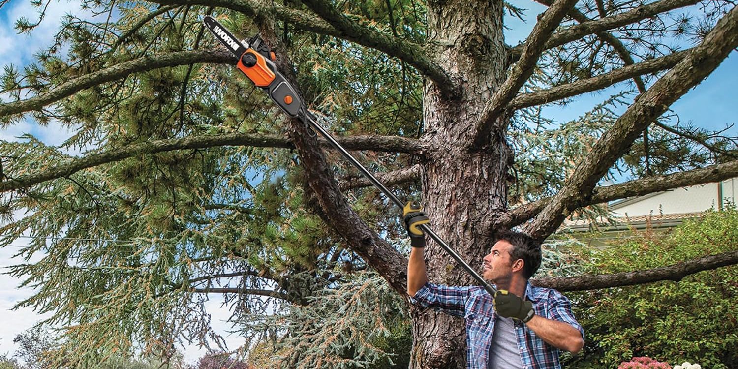 A man holding a chainsaw in a tree