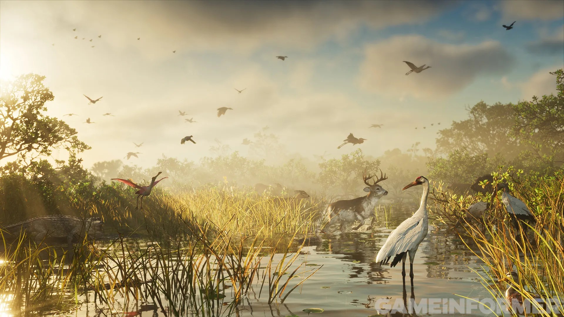A bird standing in a pond with birds flying in the sky