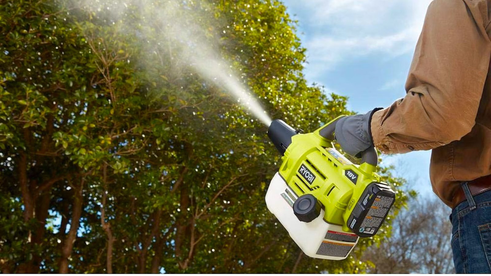 A person spraying a tree