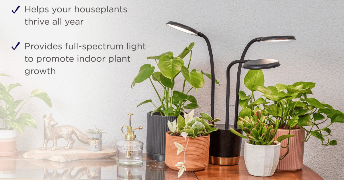 Keep three plants healthy indoors year round with AeroGarden’s Trio Grow Light down at a low (50% off) Keep three plants healthy indoors year round with AeroGarden’s Trio Grow Light down at a low (50% off)
