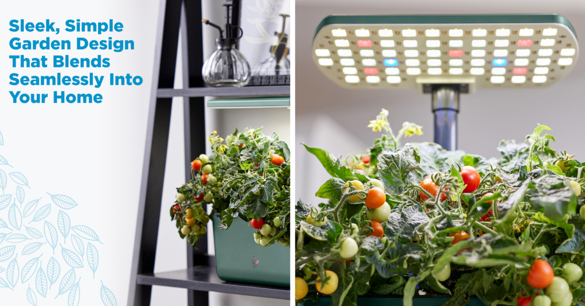 Bring the garden indoors with AeroGarden’s Harvest Lite hydroponic system while at a 2026 low Bring the garden indoors with AeroGarden’s Harvest Lite hydroponic system while at a 2026 low