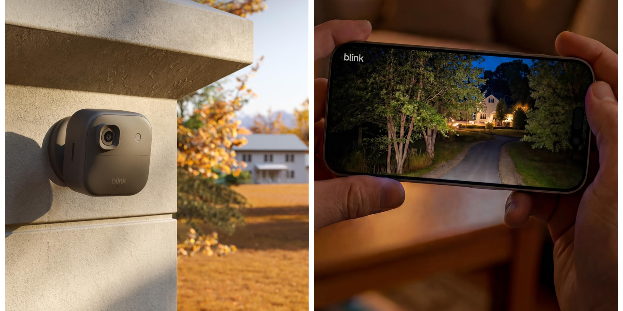 A hand holding a phone with a picture of a tree in the background