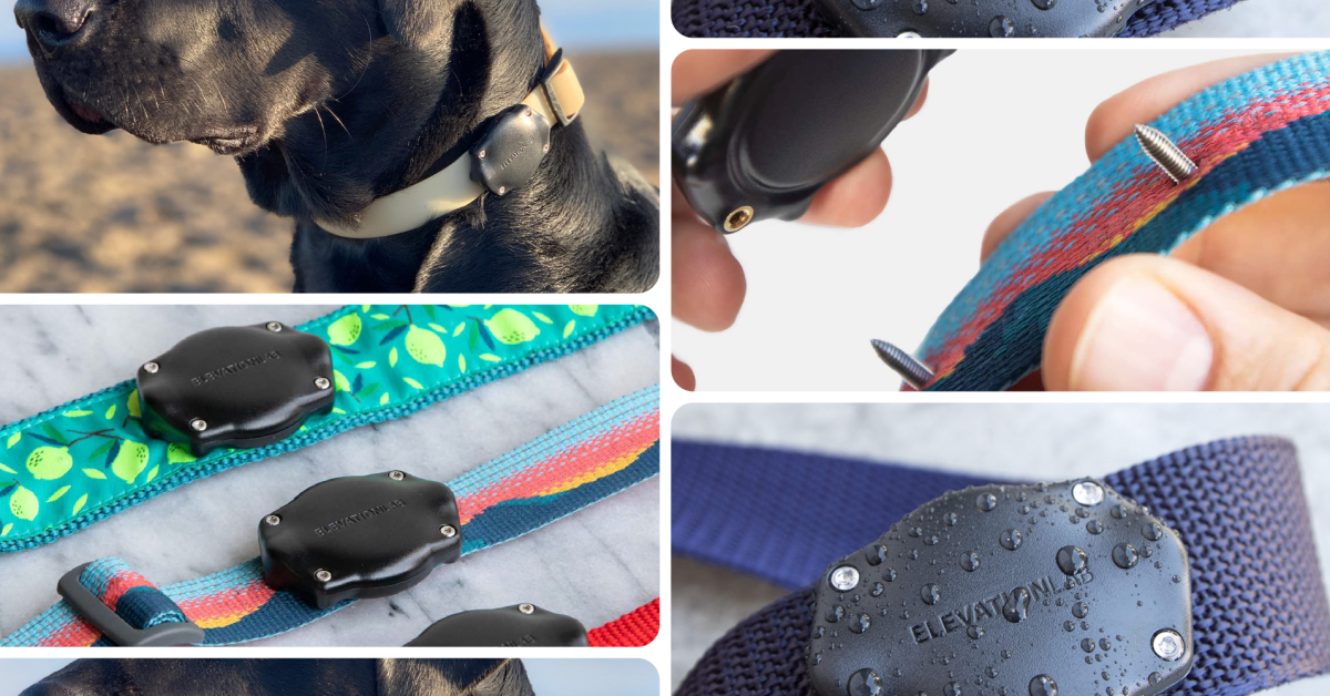 This Elevation Lab accessory latches an AirTag onto your dog’s collar for  (Reg. )