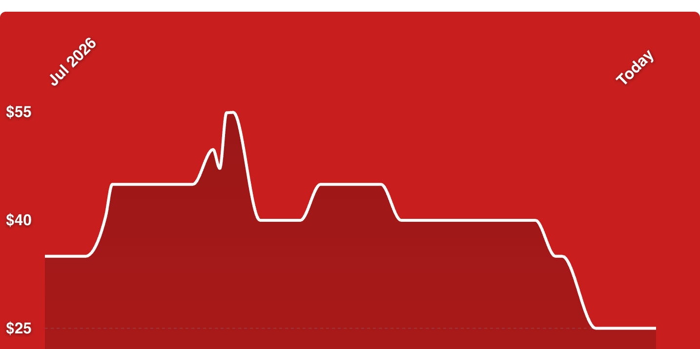 A red screen with a line on it