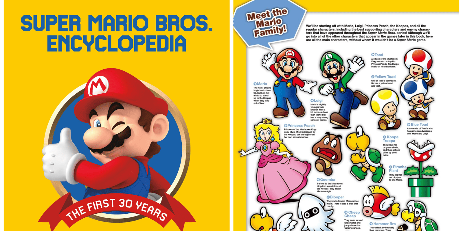 A poster and a brochure of a cartoon character