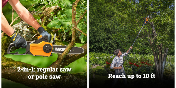 A man holding a chainsaw and a man holding a pole