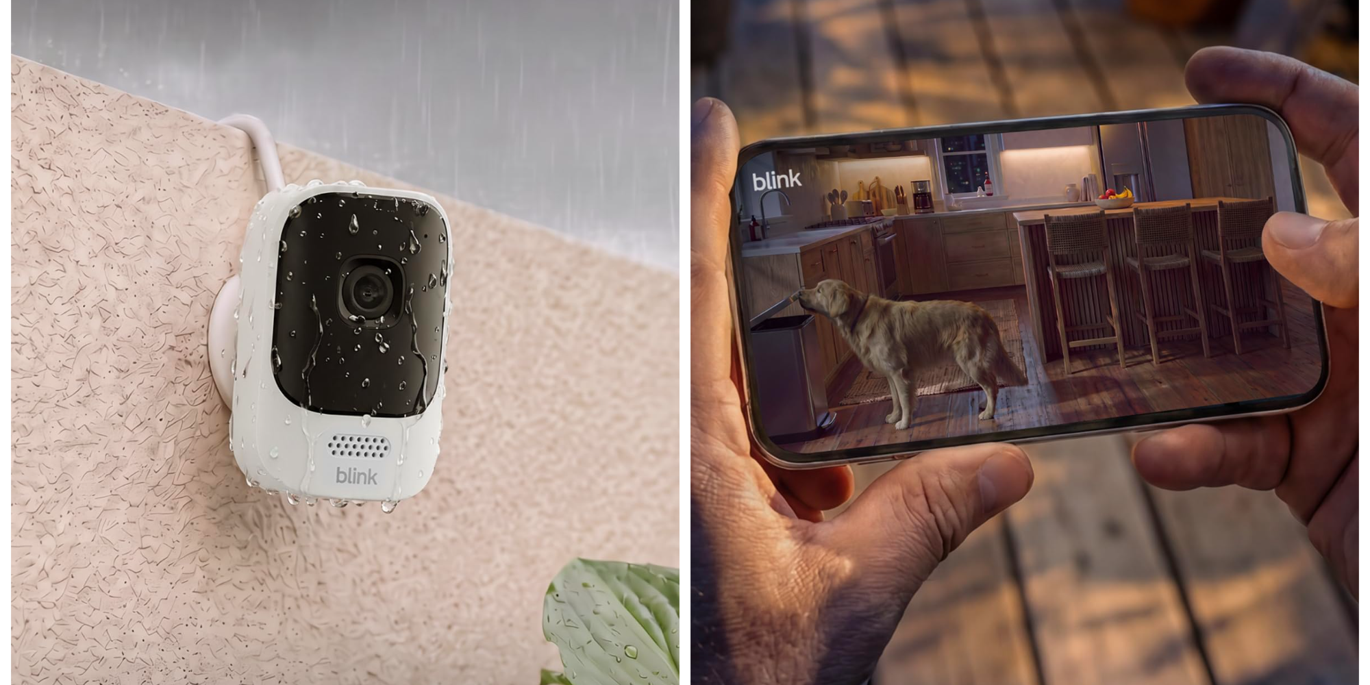 A hand holding a phone with a dog on it